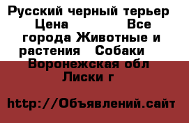 Русский черный терьер › Цена ­ 35 000 - Все города Животные и растения » Собаки   . Воронежская обл.,Лиски г.